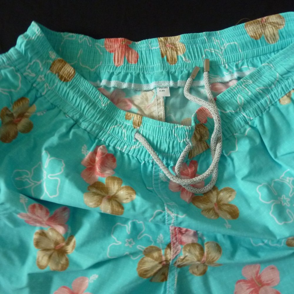 Vilebrequin Swim Trunks View 2